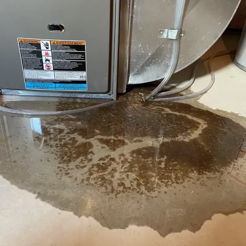 Appliance Leak Cleanup in Jasper County, IL